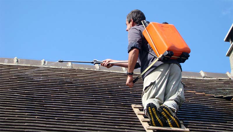 Nettoyage et démoussage toiture - HMPRO Couverture Tours : Nettoyage, démoussage, traitement anti mousse toiture et peinture hydrofuge colorée pour toit. Artisan couvreur en Indre-et-Loire (37) sur Tours et les alentours.